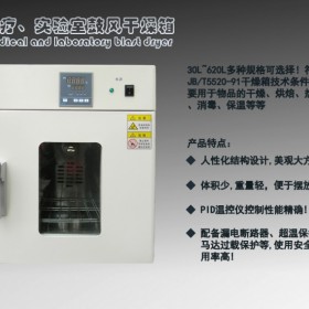 电子元器件烘箱 小型干燥箱 电路板烘干箱